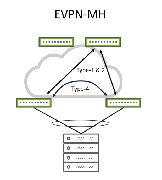 Image shows typical EVPN-MH wiring.