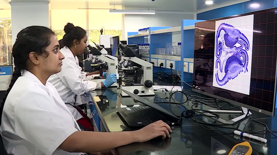 Photo of Indian women working at computers in a lab.