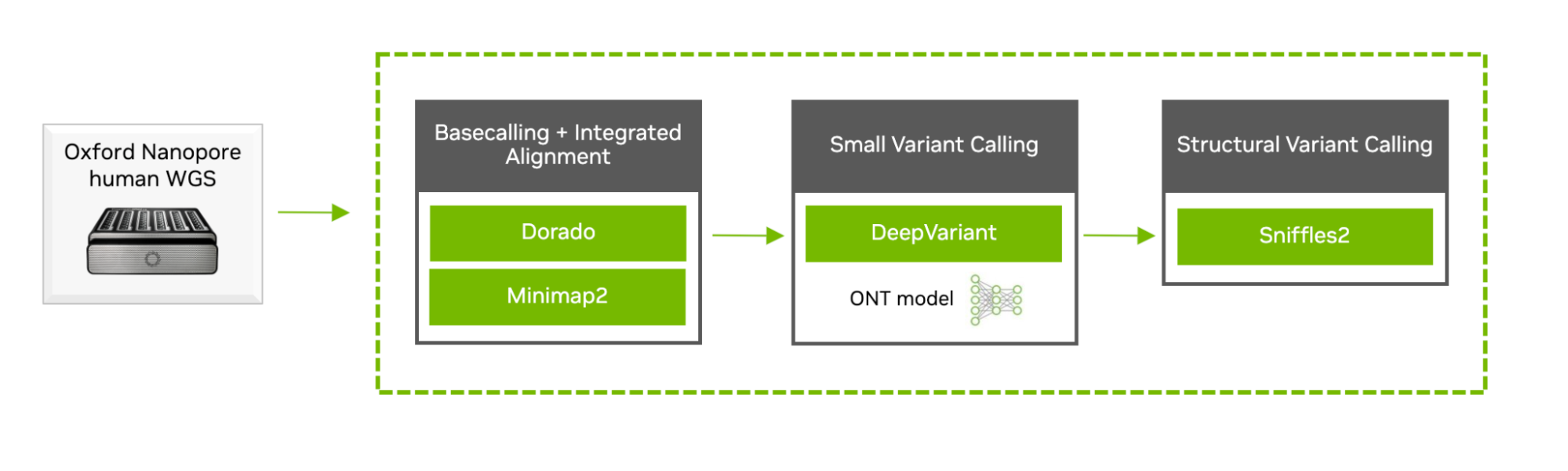 Schematic shows basecalling and integrated alignment with Dorado/Minimap2, small variant calling with DeepVariant in Parabricks, and structural variant calling with Sniffles2.