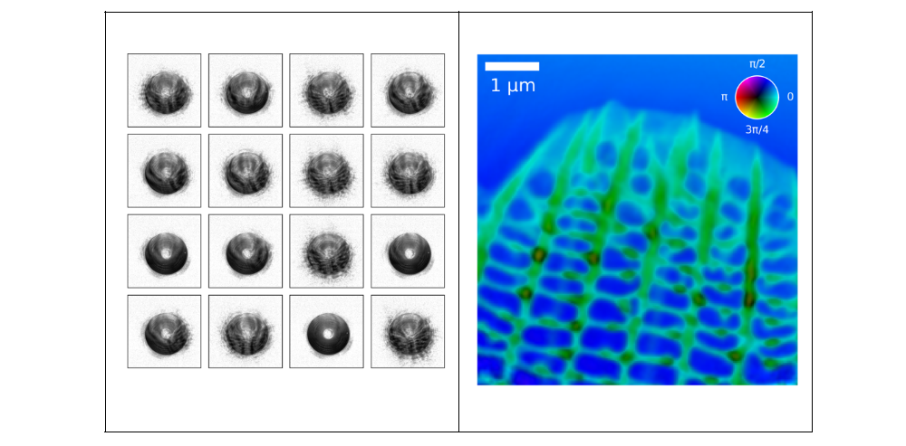 On the left  are 16 out of 1257 diffraction patterns, which are ptychographically processed to reconstruct a 2D image of a butterfly wing. On the right is an image of a butterfly wing at the one-micrometer level of resolution.
