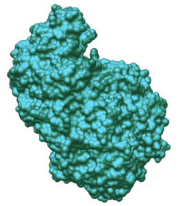 Visual representation of a three-dimensional biomolecular structure.