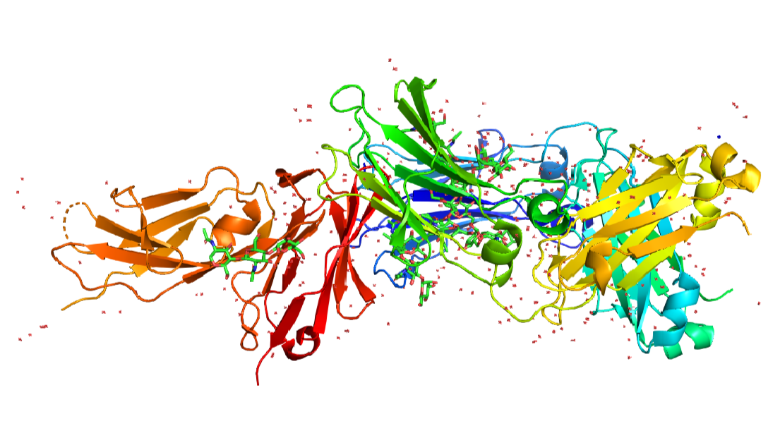 Decorative image of colorful protein structures.