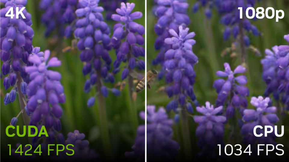 Picture of flowers split between VMAF-CUDA at 1424 FPS and CPU at 1034 FPS.