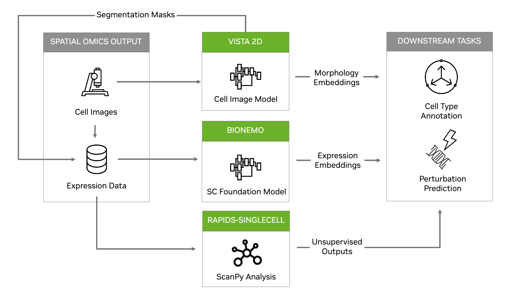 An overview of the spatial omics reference workflow, utilizing Vista 2D, BioNeMo, and RAPIDS Single Cell for downstream tasks such as cell type annotation and perturbation prediction