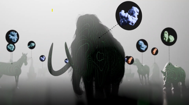 A woolly mammoth and segments of DNA.