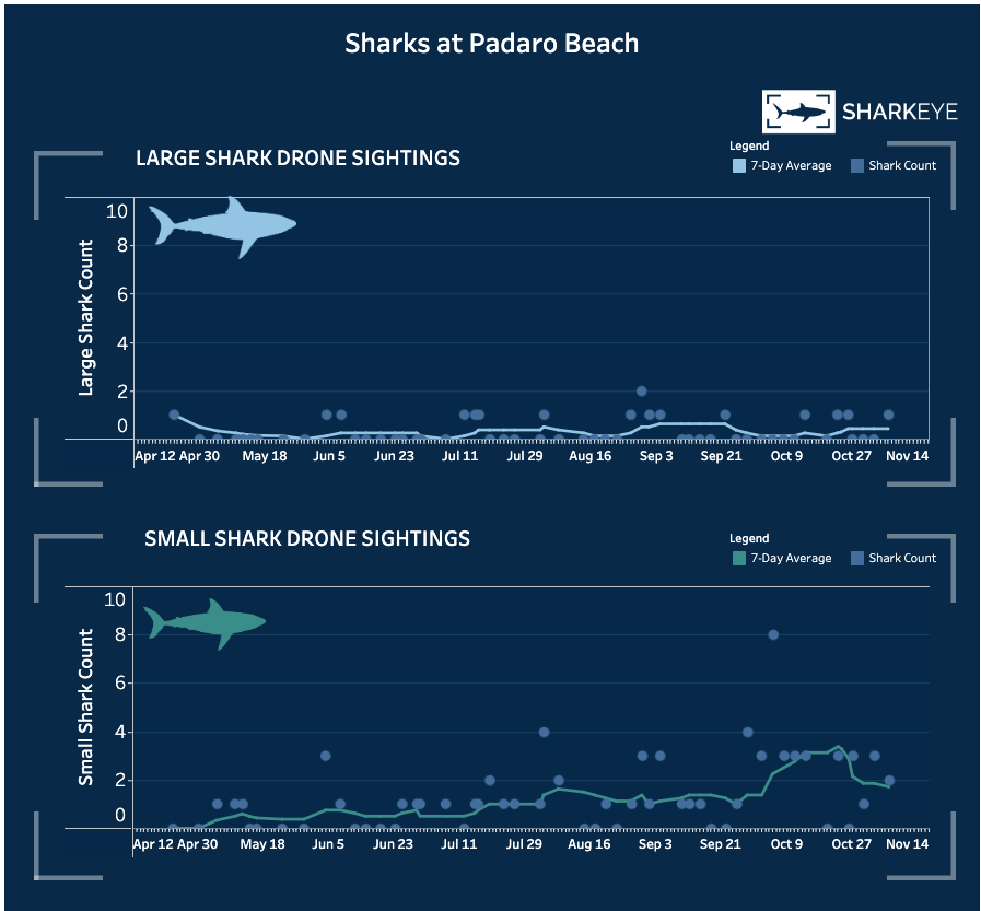 An image of the SharkEye dashboard, which shows the dates and count number of sharks detected.