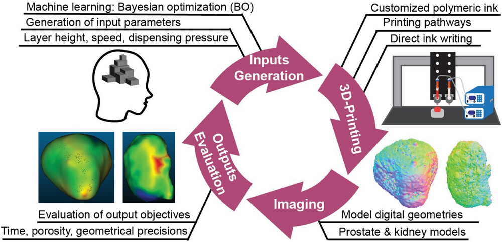 New AI-Powered 3D Printing Can Help Surgeons Rehearse Procedures