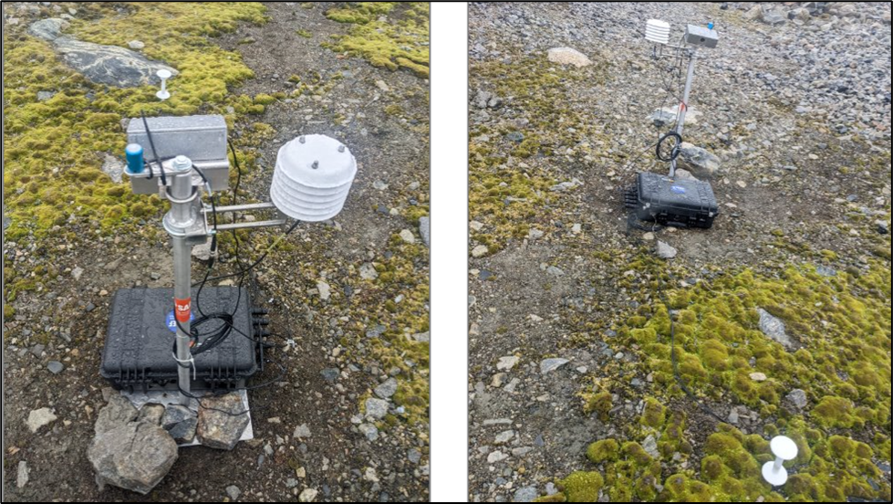 AI Investigates Antarctica’s Disappearing Moss to Uncover Climate Change Clues