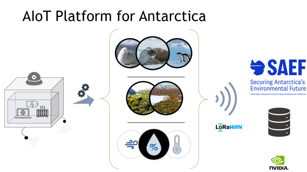 An image depicting how the AIoT Platform gathers relevant environmental data and then sends it to researchers using LoRaWAN. 