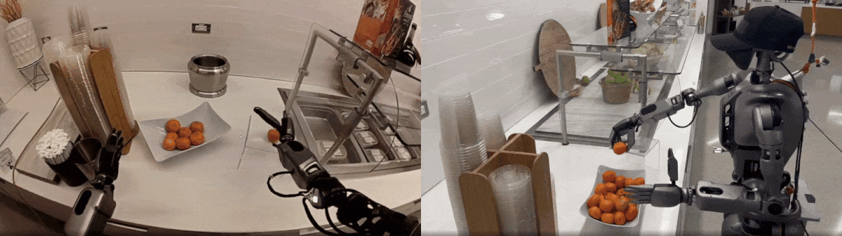 Side-by-side videos showcasing a humanoid robot placing a tangerine fruit in a bowl from a first-person perspective and a third-person perspective.
