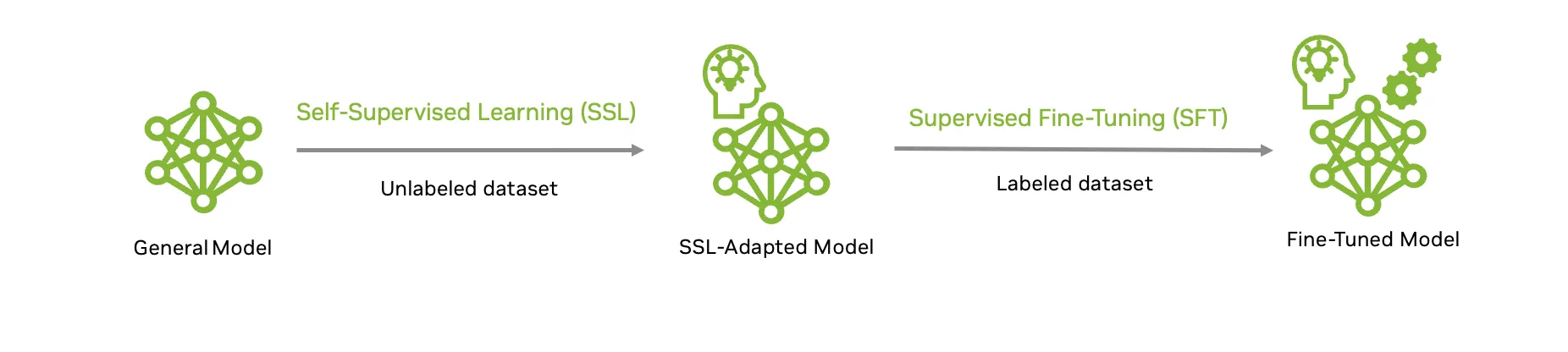 A diagram showing the two stages to effectively adapt and finetune a large scale trained foundation model to a specific downstream task.