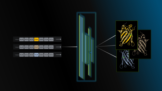 Introducing the CodonFM Open Model for RNA Design and Analysis