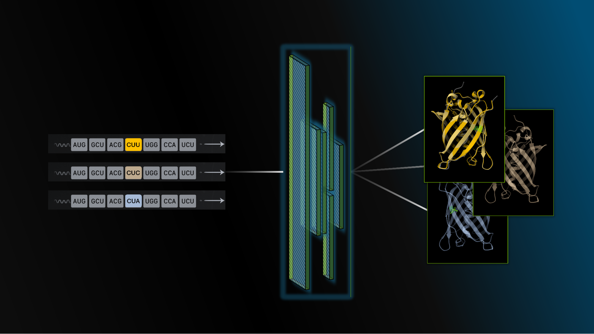 Introducing the CodonFM Open Model for RNA Design and Analysis