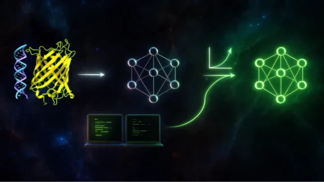 使用 PyTorch 和 NVIDIA BioNeMo Recipes 扩展生物学 Transformer 模型