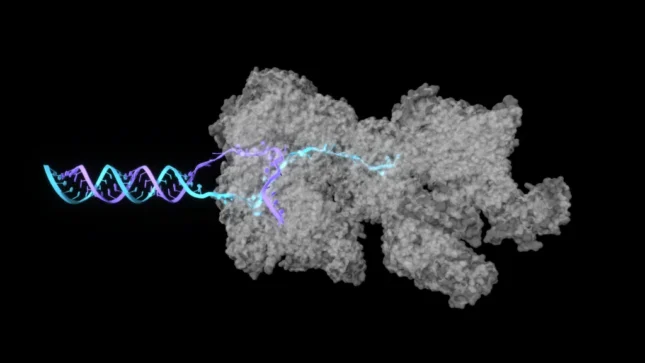 如何使用 OpenFold3 NIM 预测生物分子结构